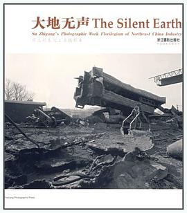 大地无声 pdf epub mobi 电子书 下载