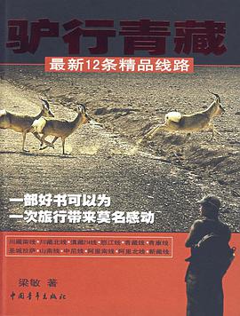 驴行青藏 pdf epub mobi 电子书 下载