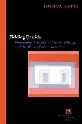 Fielding Derrida pdf epub mobi 电子书 下载