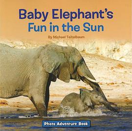 Baby Elephant's Fun in the Sun pdf epub mobi 电子书 下载