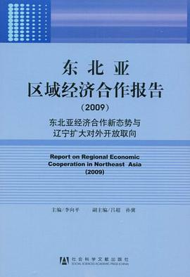 东北亚区域经济合作报告 pdf epub mobi 电子书 下载