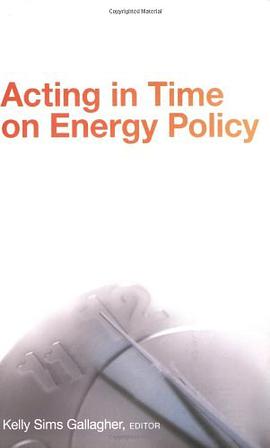 Acting in Time on Energy Policy pdf epub mobi 電子書 下載