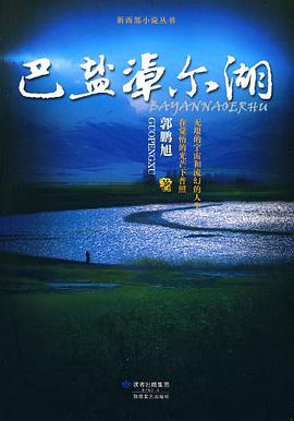 巴盐淖尔湖