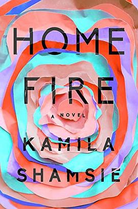 Home Fire pdf epub mobi 电子书 下载