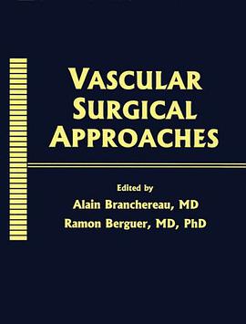 Vascular Surgical Approaches pdf epub mobi 电子书 下载