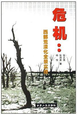 危机 pdf epub mobi 电子书 下载