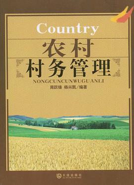 农村村务管理 pdf epub mobi 电子书 下载