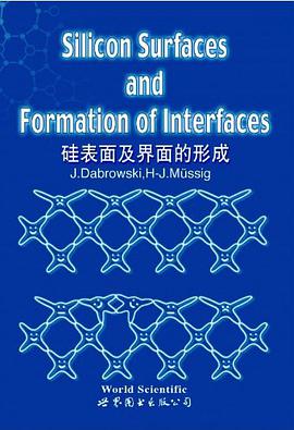 硅表面及界面的形成 pdf epub mobi 电子书 下载