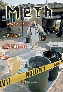 Meth pdf epub mobi 电子书 下载