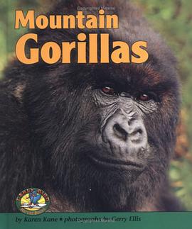 Mountain Gorillas