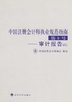 中国注册会计师执业规范指南.第5号,审计报告:试行 pdf epub mobi 电子书 下载