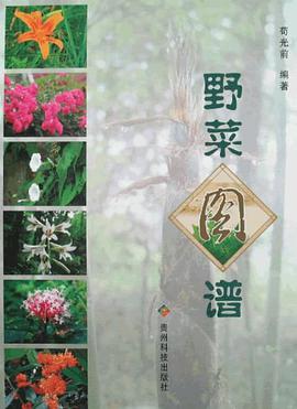 野菜圖譜 pdf epub mobi 電子書 下載