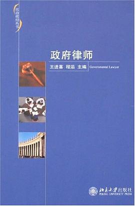 政府律师 pdf epub mobi 电子书 下载