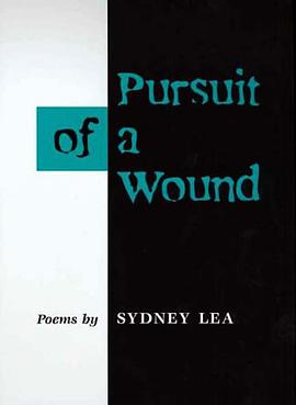 Pursuit of a Wound pdf epub mobi 电子书 下载