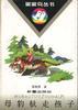 母豹驮走孩子 pdf epub mobi 电子书 下载