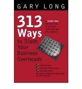313 Ways to Slash Your Business Overheads pdf epub mobi 电子书 下载