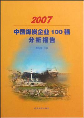 2007中国煤炭企业100强分析报告 pdf epub mobi 电子书 下载