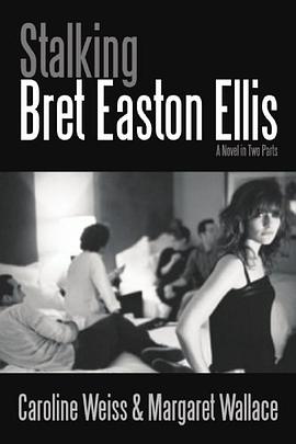 Stalking Bret Easton Ellis pdf epub mobi 电子书 下载