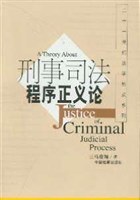 刑事司法程序正义论 pdf epub mobi 下载