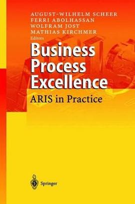 Business Process Excellence pdf epub mobi 电子书 下载