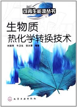 生物质热化学转换技术 pdf epub mobi 电子书 下载