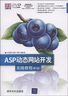 ASP动态网站开发实践教程 pdf epub mobi 电子书 下载