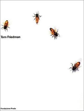 Tom Friedman (2 Volume Set, Slipcase;  English Edition) pdf epub mobi 电子书 下载