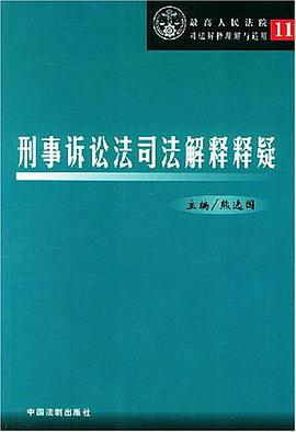 刑事诉讼法司法解释释疑