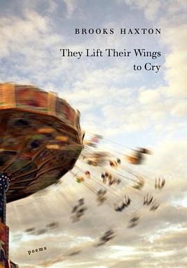 They Lift Their Wings to Cry pdf epub mobi 电子书 下载