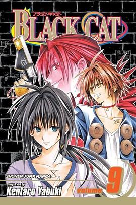 Black Cat Vol. 9 (Black Cat (Graphic Novels)) pdf epub mobi 电子书 下载