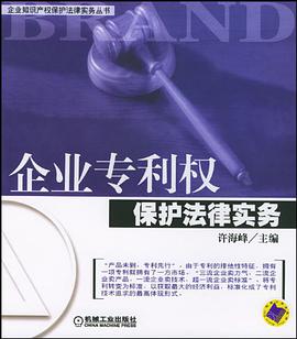 企业专利权保护法律实务 pdf epub mobi 电子书 下载