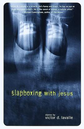 Slapboxing with Jesus pdf epub mobi 電子書 下載