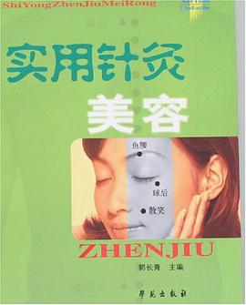 實用針灸美容 pdf epub mobi 下载