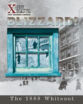 Blizzard! pdf epub mobi 电子书 下载