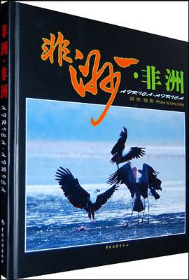 非洲·非洲 pdf epub mobi 电子书 下载