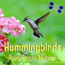 Hummingbirds pdf epub mobi 电子书 下载