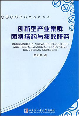 创新型产业集群网络结构与绩效研究