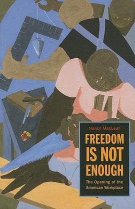 Freedom Is Not Enough pdf epub mobi 下载