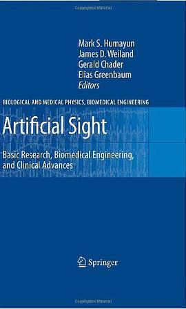 Artificial Sight
