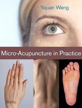Micro-Acupuncture in Practice pdf epub mobi 电子书 下载