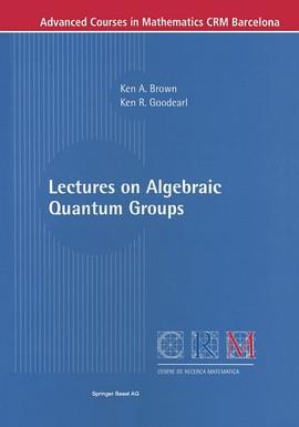 Lectures on Algebraic Quantum Groups pdf epub mobi 下载