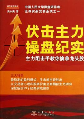 伏击主力操盘纪实 pdf epub mobi 电子书 下载