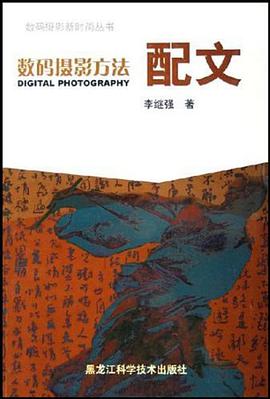 数码摄影方法 pdf epub mobi 电子书 下载