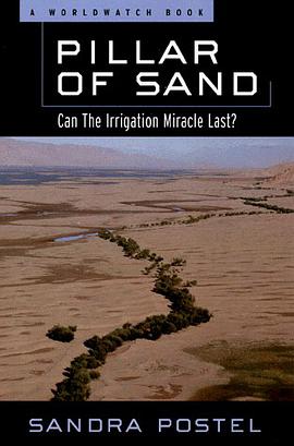 Pillar of Sand pdf epub mobi 電子書 下載