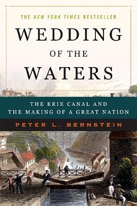 Wedding of the Waters pdf epub mobi 电子书 下载