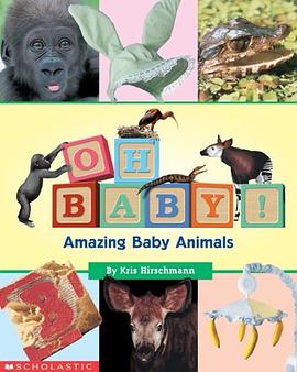 Oh Baby! Amazing Baby Aminal pdf epub mobi 电子书 下载
