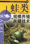 蛙类规模养殖关键技术
