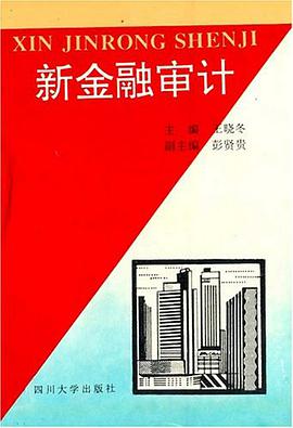 新金融审计 pdf epub mobi 电子书 下载