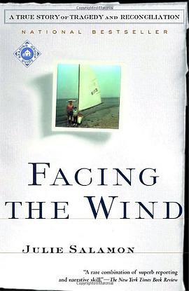 Facing the Wind pdf epub mobi 电子书 下载