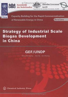 中国工业化规模沼气开发战略 pdf epub mobi 电子书 下载